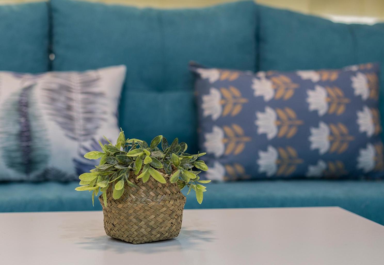 Estudio Moderno Playa Victoria Cadiz Ngoại thất bức ảnh